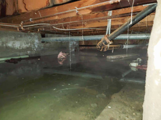 Best Water damage cleanup near me  in River Oaks, TX