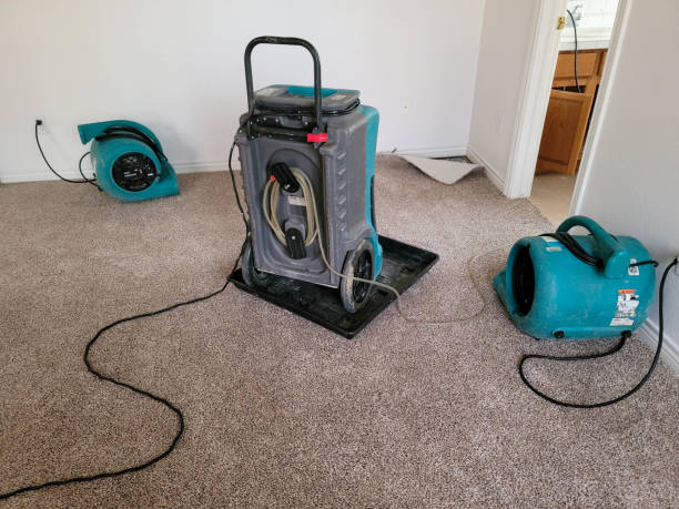 Best Water damage restoration near me  in River Oaks, TX