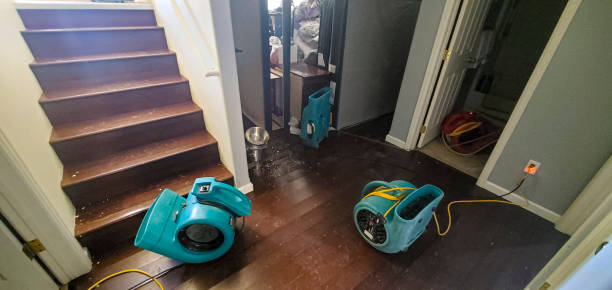 Best Flooded house restoration  in River Oaks, TX