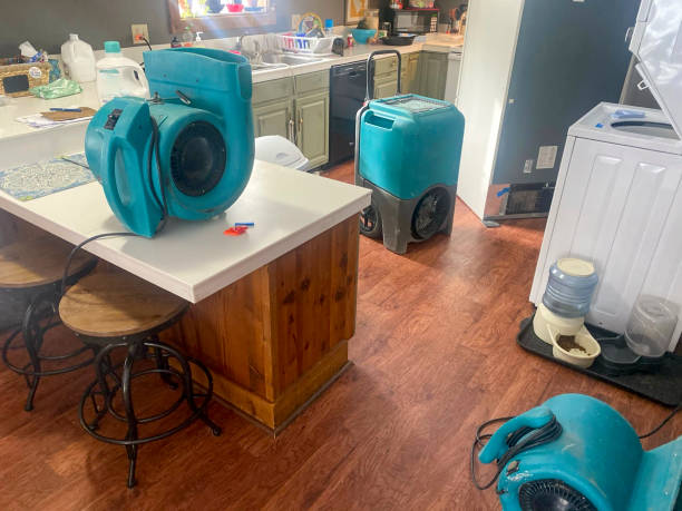 Best 24/7 water damage repair  in River Oaks, TX
