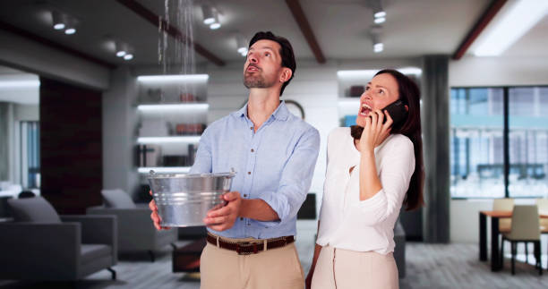Best Ceiling water damage repair  in River Oaks, TX