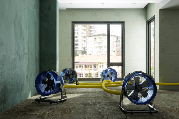 Best Fire Damage Restoration  in River Oaks, TX
